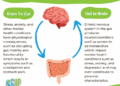 Unlocking The Gut-Brain Connection | Mental Health Awareness Month 2022 ...