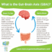 Unlocking The Gut-Brain Connection | Mental Health Awareness Month 2022 ...